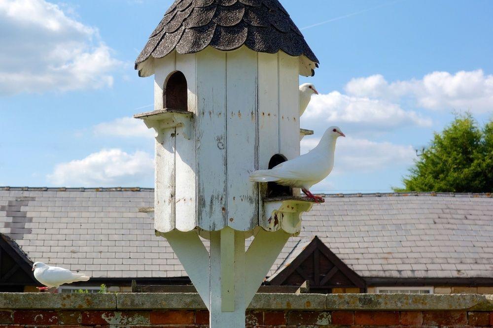 Hostal Widbrook Grange Bradford-On-Avon Exterior foto